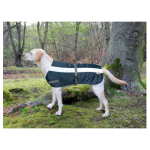 Flecta Dog Jacket Navy