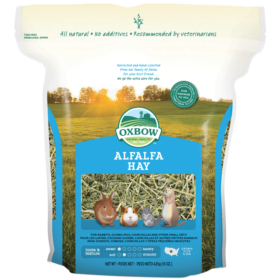 Alfalfa Hay 425g/15oz