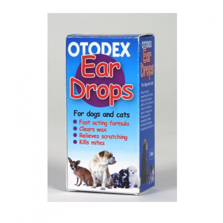 Can You Buy Ear Drops For Dogs Over The Counter DogWalls
